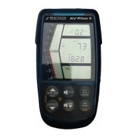 Preview: Brauniger AV Pilot II