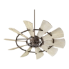Fan Logo