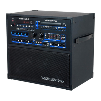 Preview: VocoPro GIG-STAR II