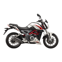 Preview: Benelli BN251