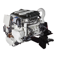 Preview: MerCruiser Sterndrive TDI 3.0L