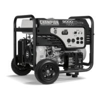 Preview: Champion Power Equipment 100102