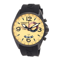 Preview: Torgoen T30