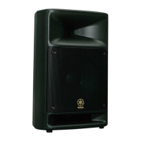 Preview: Yamaha MSR250