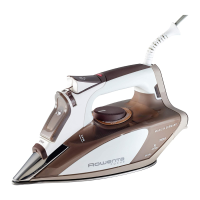 Preview: Rowenta DW5000