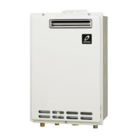 Preview: Takagi GS-2000W-AU