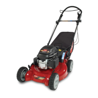 Preview: Toro Super Bagger 20192