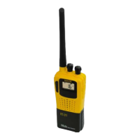 Preview: NAVICOM PACK RT311