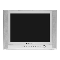 Preview: Telefunken TTV-21N02