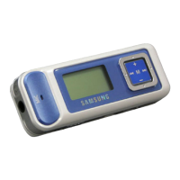 Preview: Samsung YP-C1