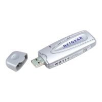 Preview: NETGEAR WG111