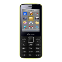 Preview: Micromax X245