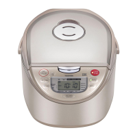 Preview: Toshiba RC-10RHI