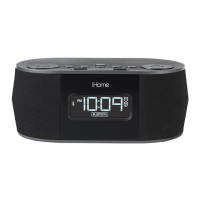 Preview: iHome iBT38