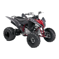 Preview: Yamaha YFM250R