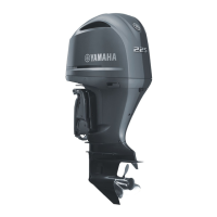 Preview: Yamaha F225F