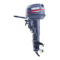 Preview: Yamaha 25B