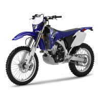 Preview: Yamaha WR450F(Y) 2009
