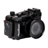 Preview: Nauticam NA-RX100