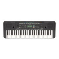 Preview: Yamaha YPT255