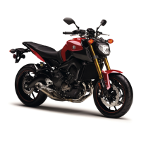 Preview: Yamaha FZ09F