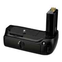 Preview: Nikon MB-D80