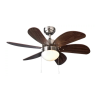 Fan Logo