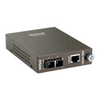 Preview: D-Link DMC-810SC