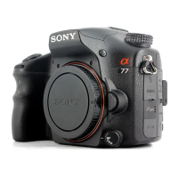 Preview: Sony SLTA77