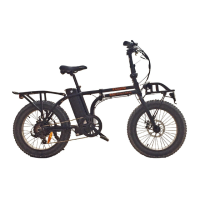 Preview: Rad Power Bike RADMINI