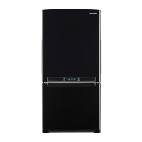 Preview: Samsung RB195ACRS