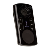 Preview: Motorola CLK446