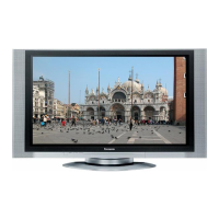 Preview: Panasonic TH-42PA20