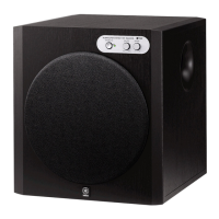 Preview: Yamaha YST-RSW300