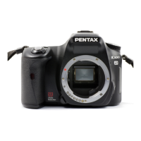 Preview: Pentax K100D
