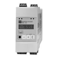 Preview: Endress+Hauser RMA 422