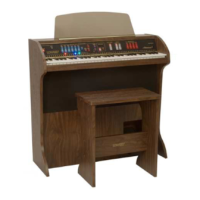 Preview: Lowrey adventurer ii