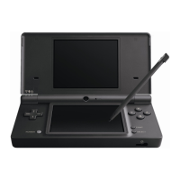 Preview: Nintendo DSI