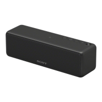 Preview: Sony SRS-HG1