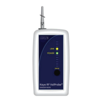 Preview: Kaye RF ValProbe
