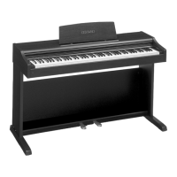 Preview: Casio AP-25