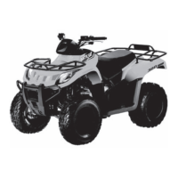 Preview: Arctic Cat 300