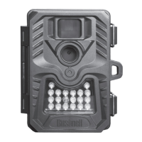 Preview: Bushnell 119432CW