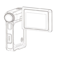 Preview: Traveler DV-5000