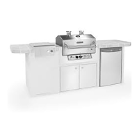 Preview: Holland Grill APEX BH421-SS5LPB