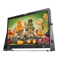 Preview: TVLogic LVM-246W