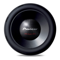 Preview: Pioneer ts-w8102spl
