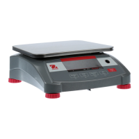 Preview: OHAUS RANGER 4000 Series