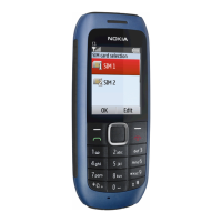 Preview: Nokia C1-00
