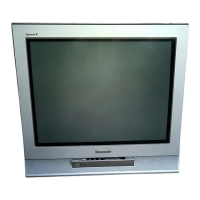 Preview: Panasonic TC-21PM10R